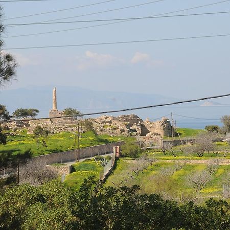 Kalokenti Studios Aegina Szoba fotó